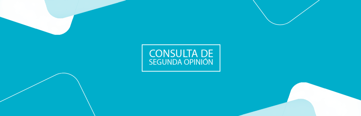 CONSULTA-2-OPINION.png