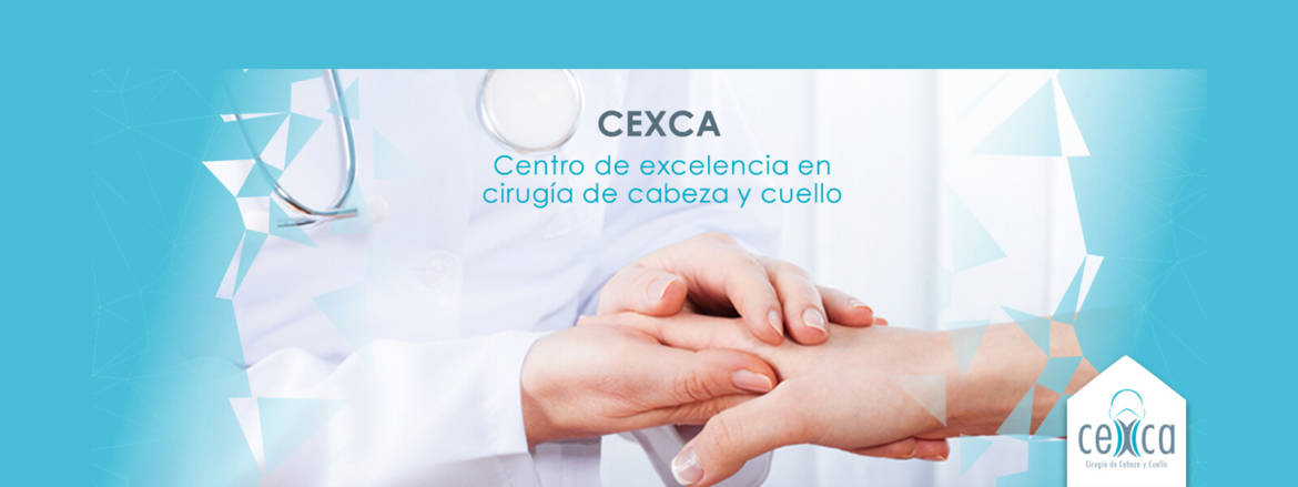 Sitioweb-CEXCA1.jpg